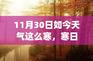 喷绘写真 第382页