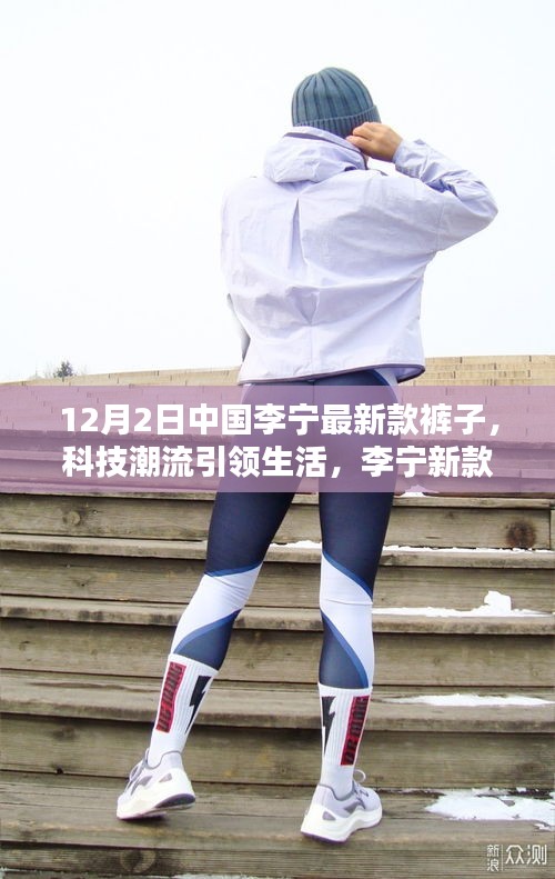 金石为开 第4页