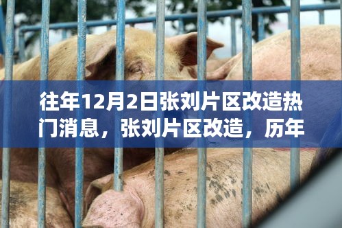开业广告 第371页