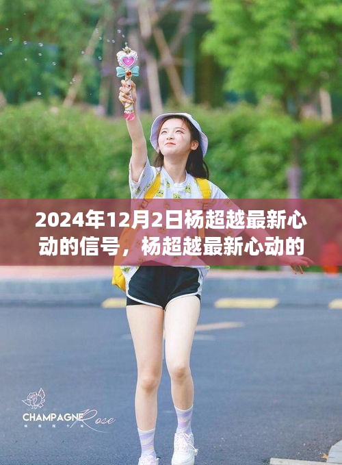 宣传册 第367页