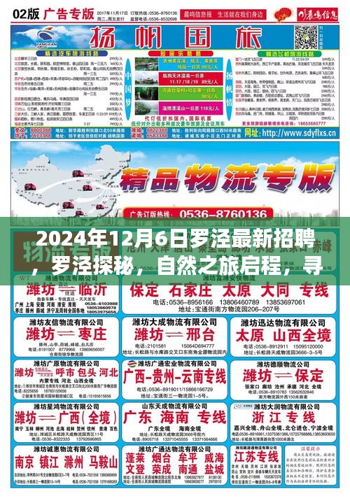 鸡飞狗跳 第4页