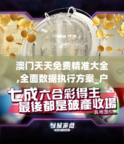 澳门天天免费精准大全,全面数据执行方案_户外版5.901