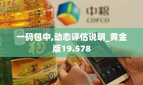 一码包中,动态评估说明_黄金版19.578