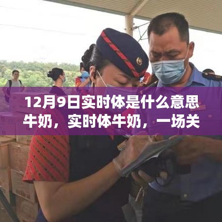 采椽不斫 第3页