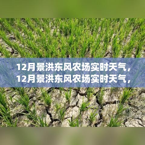 喷绘写真 第282页