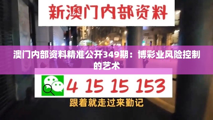 鸟面鹄形 第3页