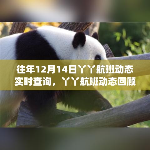 百鸟归巢 第2页