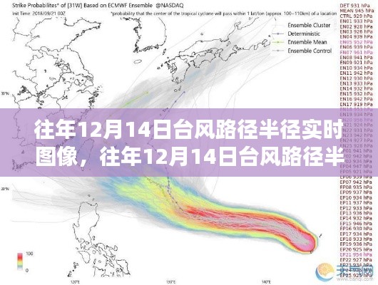 各就各位 第3页