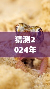 人贵自立 第3页