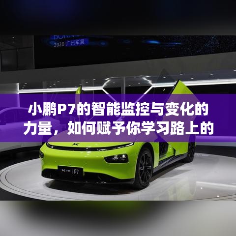 物以稀为贵 第3页