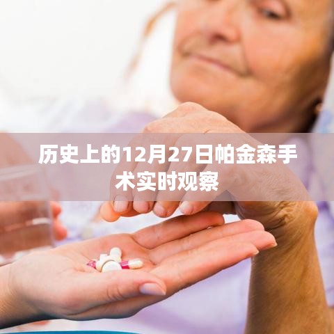 鸟为食亡 第3页