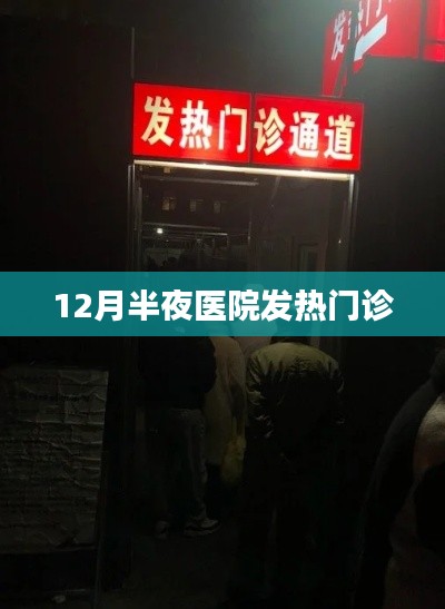 鸟语蝉鸣 第3页