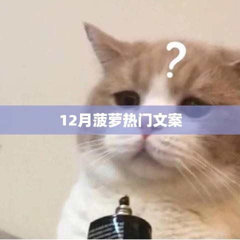 高不成低不就 第2页