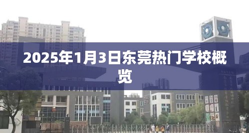 东莞热门学校概览，2025年1月3日最新资讯