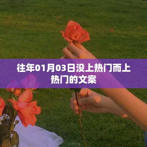 各就各位 第2页
