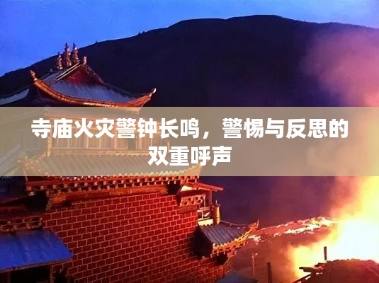 驾轻就熟 第2页
