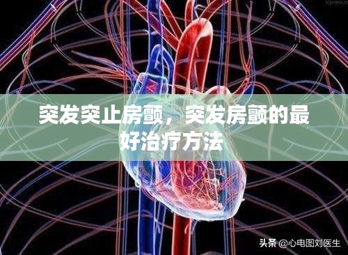 矫揉造作 第2页