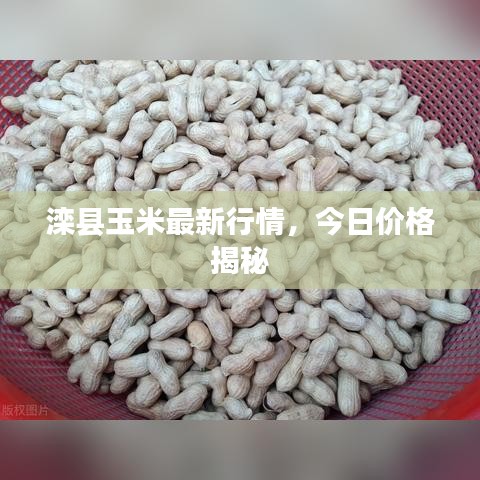 就正有道 第2页