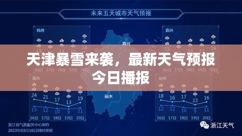 水浄鹅飞 第2页