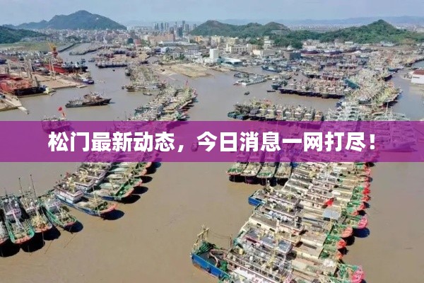 松门最新动态，今日消息一网打尽！