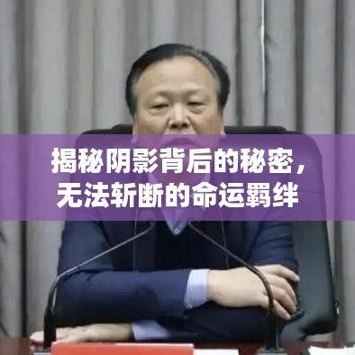 资料打印 第28页