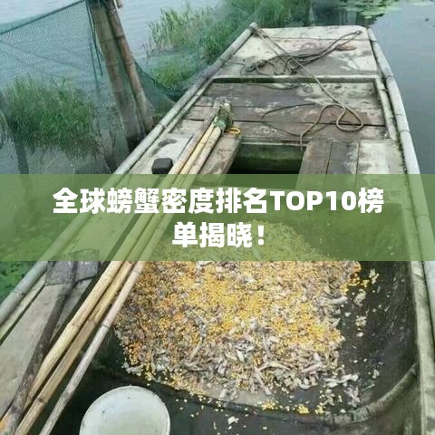 设计印刷 第19页