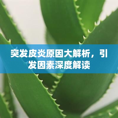 开业广告 第17页