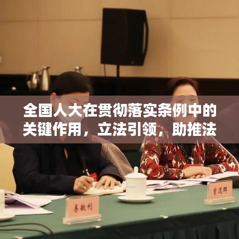 全国人大在贯彻落实条例中的关键作用，立法引领，助推法治建设前行。