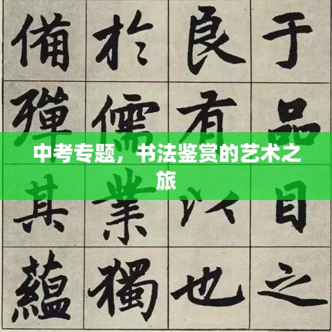 喷绘写真 第14页