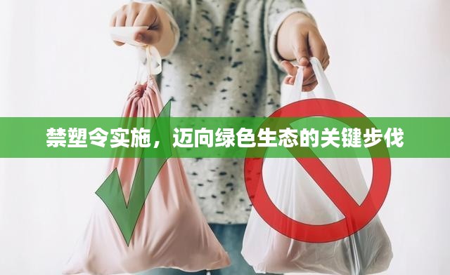 资料打印 第10页