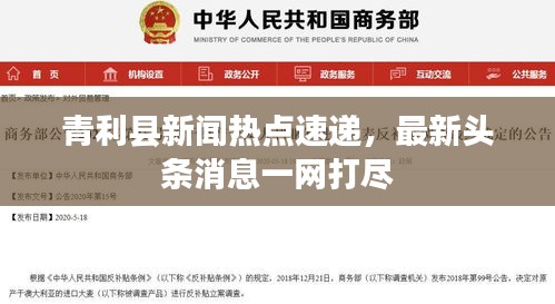 设计印刷 第7页