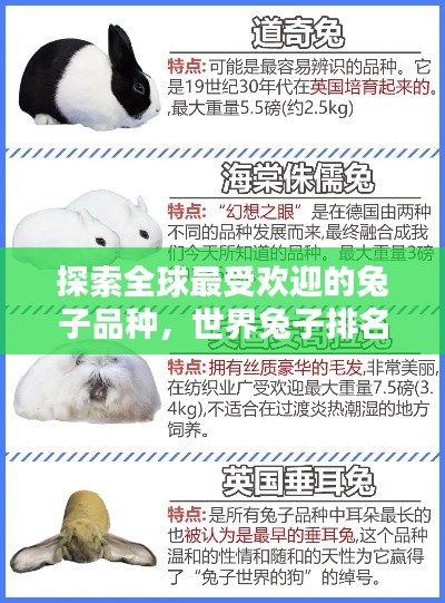 知错就改