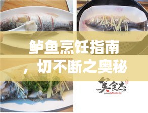 广告制作 第7页