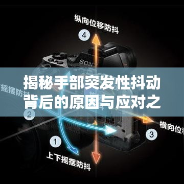 2025年5月13日 第3页