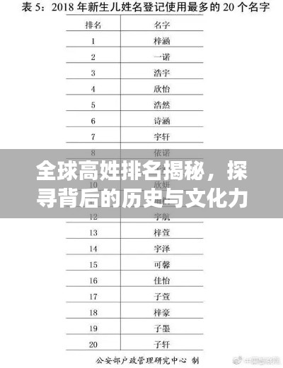 全球高姓排名揭秘，探寻背后的历史与文化力量