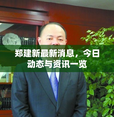 郑建新最新消息，今日动态与资讯一览