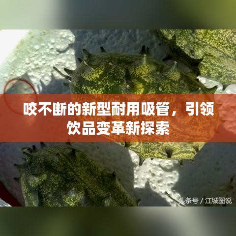 咬不断的新型耐用吸管，引领饮品变革新探索