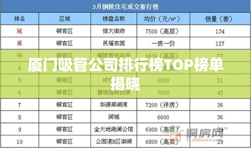 厦门吸管公司排行榜TOP榜单揭晓